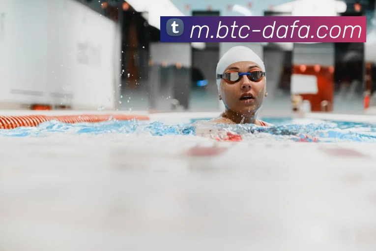 大发彩票平台生态图